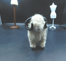 white sheep a